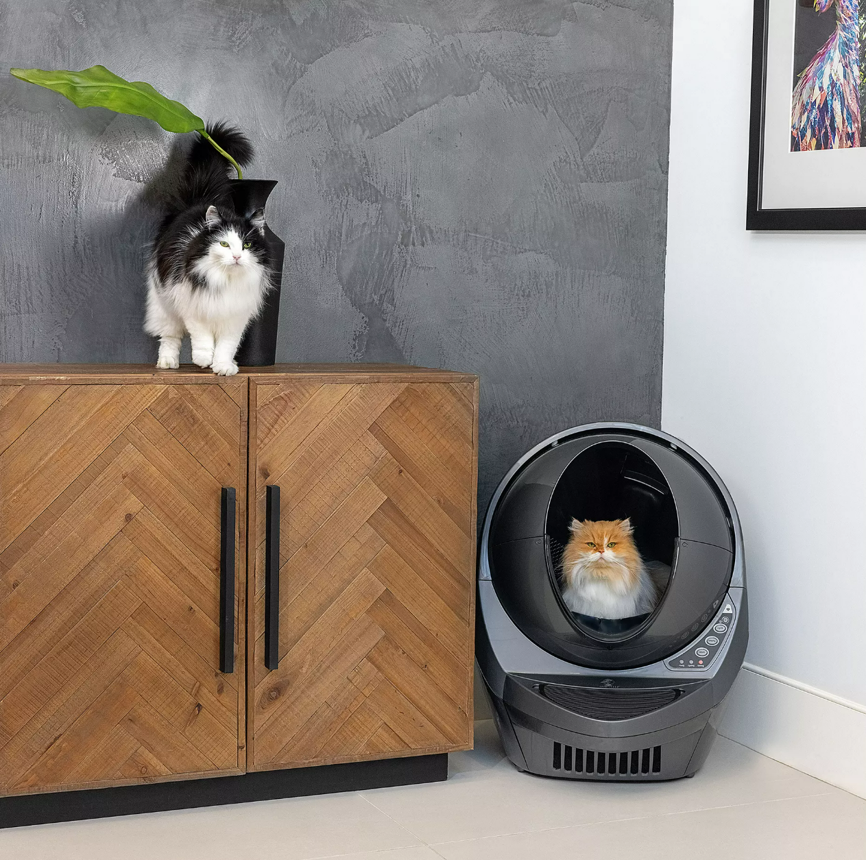 Litter-Robot® 3 Automatic Self-Cleaning Cat Litter Box By Whisker, Includes 1 Year Warranty
