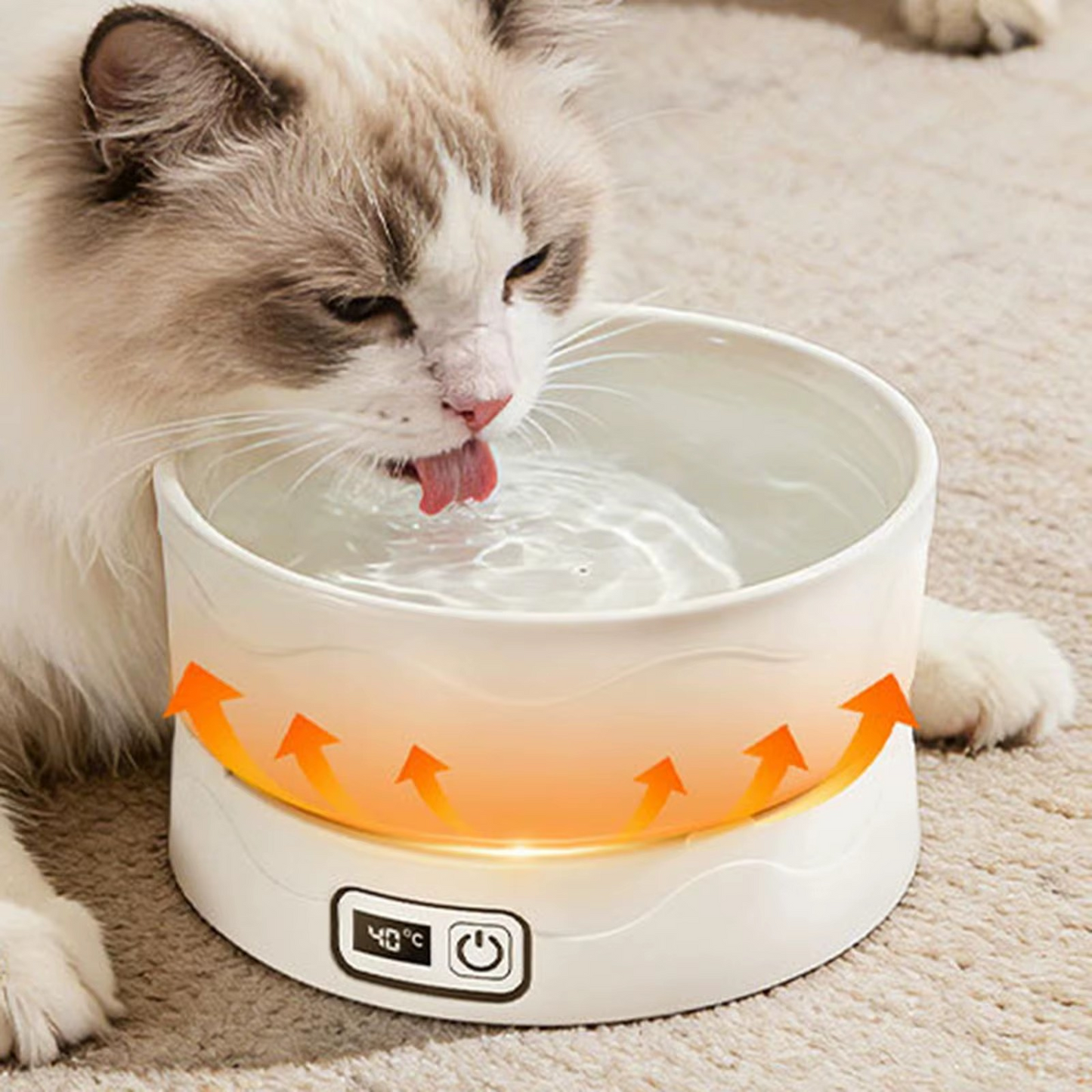 Smart Thermostatic Heated Pet Water Bowl